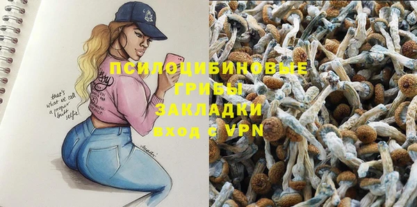 spice Алзамай