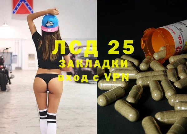 spice Алзамай