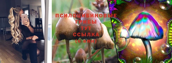 spice Алзамай