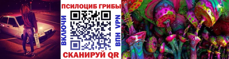 закладки  Новая Ладога  Галлюциногенные грибы MAGIC MUSHROOMS 
