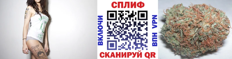 площадка как зайти  Новая Ладога  Бошки Шишки тримм 